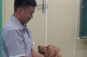 狗的训练需要多长时间？（探究狗的训练过程以及影响训练时间的关键因素）