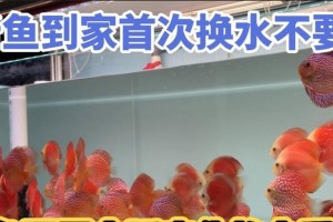 鱼缸水质管理（有效控制水质变化）