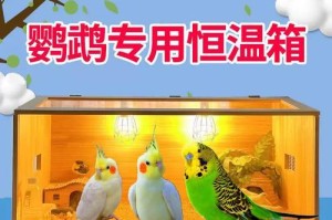 玄凤鹦鹉育雏期喂食指南（科学喂养让幼鸟健康成长）
