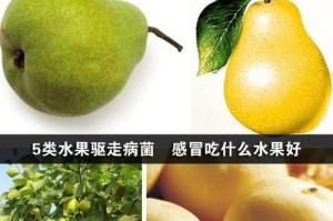 狗咬了可以吃什么水果？（了解哪些水果可以安全给狗食用）