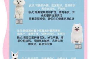 泰迪毛剪光后，它需要多久才能长出新毛？（探究泰迪狗狗毛发生长周期与护理方法）