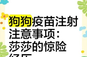 狗狗打完疫苗多久能出去溜？（探寻疫苗接种后的适当外出时机）