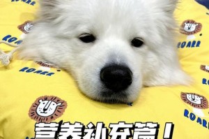 狗狗绝育后合适的饮食时间（了解狗狗绝育后适宜的饮食安排）