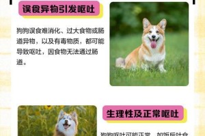 狗吃异物后多久能吐出来？（了解狗吃异物的消化过程及应对方法）