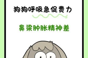 犬的呼吸方式及其特点（探究犬的呼吸方式以及与人类的异同）