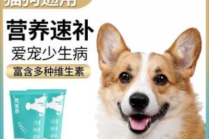 营养膏喂养小猫的最佳频率（每日一次是关键）