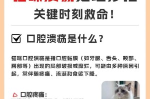 猫口腔溃疡的成因及预防措施（口腔溃疡的常见原因和防治方法）