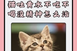 猫的水分需求与饮水习惯（揭秘猫咪多久可以不喝水、影响因素与饮水提示）