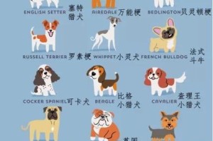 德国猎梗（了解德国猎梗的起源、特点和培养技巧）