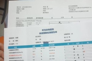 狗狗绝育后适当饮食的重要性（控制狗狗饮食时间的关键）