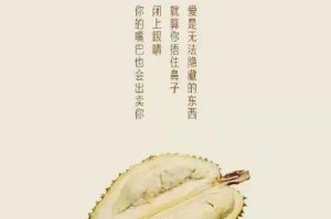 揭秘“以非到家”梗（以非到家梗的起源、传播与演变）