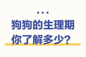 狗的生理期与女生的生理期有何不同？（了解狗的生理周期及其差异）