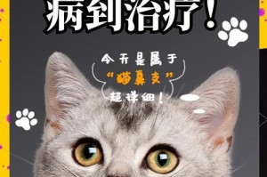 猫鼻支治疗时间长短的关键因素（深入了解猫鼻支治疗时间的要素和建议）