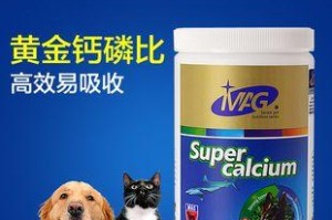 狗狗需要钙片吗？选择什么牌子的钙片更好？（探索狗狗健康的必需营养——钙片的重要性与选择关键）