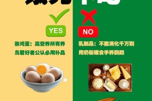 鹦鹉的饮食习惯及换食时间探究（详解鹦鹉的饮食需求与换食频率，助力健康养殖）