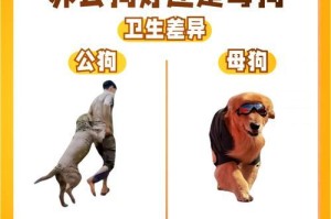 小狗离开母狗的最佳时机是什么？（探索小狗出生后适宜离开母狗的时机以及注意事项）