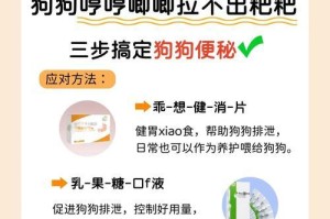 狗狗便便干燥的原因及处理方法（探讨狗狗便便干燥的原因以及如何正确处理）