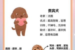 贵宾犬的繁殖周期及怀孕间隔（探究贵宾犬一次怀孕的时间间隔及影响因素）
