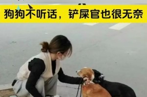 狗狗的不听话表现及应对方法（了解狗狗的不听话行为，帮助您建立更好的沟通关系）