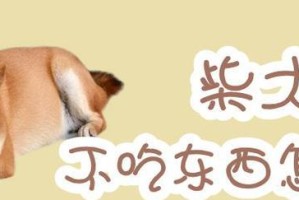 挑食的柴犬怎么办？（让你的柴犬健康饮食）