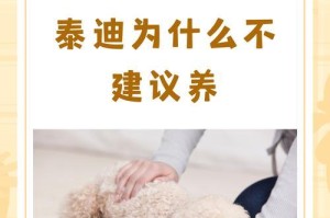 养泰迪，省心又温馨（泰迪犬的养育花销和注意事项）