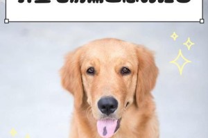 金毛犬异常掉毛的原因及解决方法（为你的金毛犬解决掉毛问题）