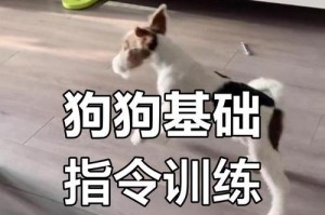 有效口令训练，打造听话宠物（让狗狗按你的口令行事，掌控家庭秩序）