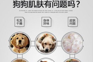 贵宾狗配种后多久可以洗澡（了解贵宾狗洗澡时间的重要性及注意事项）
