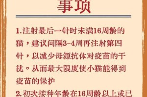猫咪疫苗接种时间及注意事项（为您的小猫宝贝提供最佳保护，合理安排疫苗接种计划）