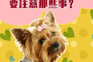 狗狗生理期的不良反应及处理方法（帮助狗狗度过生理期的难关，提供正确护理方法）
