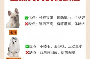 狗狗的优点（探究狗狗作为宠物的独特优势）
