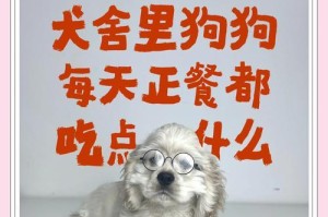 刚生的狗应该喝多久奶？（狗狗喝奶的时间和方式、狗妈妈哺乳期和断奶时间、注意事项）