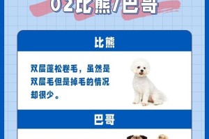 以泰迪犬真的好养吗？（探究泰迪犬养宠的六大缺点）
