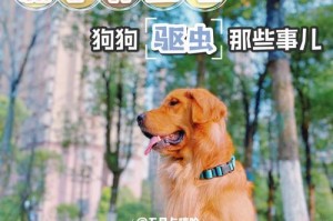 成年金毛驱虫周期（了解成年金毛驱虫周期的重要性，让你的宠物健康幸福）