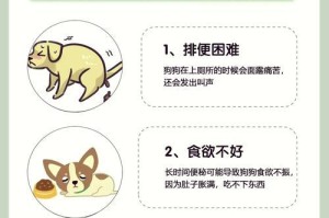 解决狗狗便秘的有效方法（探索便秘原因及预防措施，让你的宠物健康畅快）