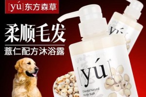 如何选择适合泰迪的香波？（除了味道，这几点也需要注意哦！）
