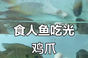 食人鱼（揭开食人鱼的神秘面纱，探究其真实威胁程度）
