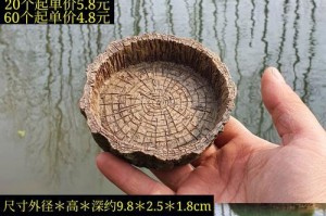 以豹龟泡澡的时间及方法（豹龟泡澡的最佳时间和正确方式）