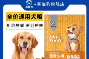 博美狗食量掌握不好，健康问题频发（了解博美狗食量的重要性及其健康问题的常见表现）