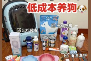 全面省钱的狗狗体检攻略（如何节省开支，确保狗狗体检全面健康）