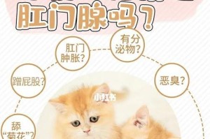 如何正确清理猫的肛门腺？（肛门腺的作用及清理步骤，帮助猫咪保持健康）