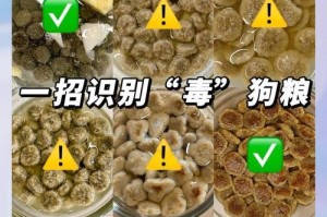 狗粮泡发时间的探究（掌握泡发狗粮的最佳时间，）