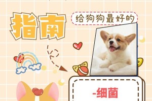 狗狗的皮肤病治疗指南（了解病因，有效治愈宠物皮肤问题）