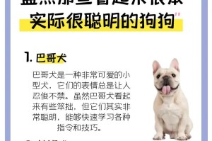 探究狗狗的寿命（揭秘狗狗寿命的奥秘，了解其影响因素以及如何延长寿命）