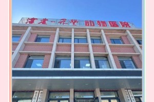 浑南宠物医院（专业、贴心、可靠，让您的宠物拥有健康快乐的生活）
