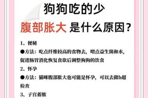 母狗怀孕多久胃口变好（母狗怀孕期间食欲变化及对狗妈妈的影响）