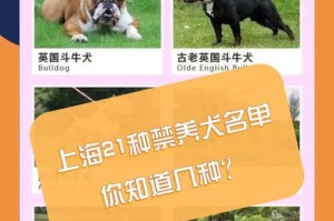 狗狗急性肾炎的康复时间及关键因素（揭秘狗狗急性肾炎康复过程中的重要细节）