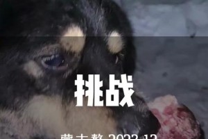 小狗骨头的咬食时长究竟是多久？（探索小狗骨头咬食行为背后的奥秘）