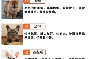 小狗的优点（与小狗相伴的美好时光）