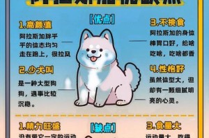 养阿拉斯加的技巧和注意事项（培养快乐的阿拉斯加宠物犬生活）